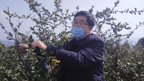 微信图片_20200223150343