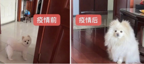 QQ截图20200402110315