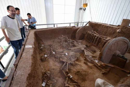 7月30日，在陕西省考古研究院泾渭基地，陕西省考古研究院研究员王占奎（左一）介绍西周晚期青铜轮牙马车。