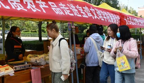 QQ截图20201017103847