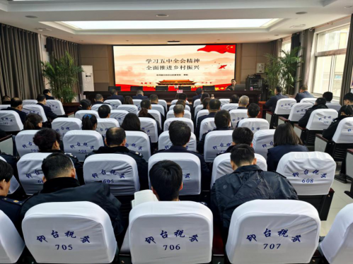 图片8