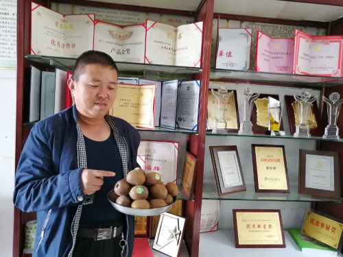 图片1