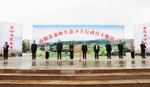 图片6