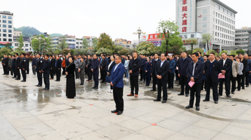 图片11