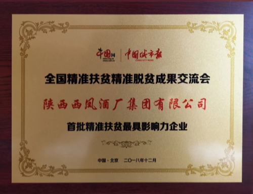图片11