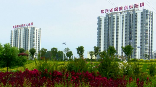 图片11