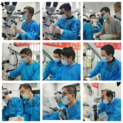 图片15