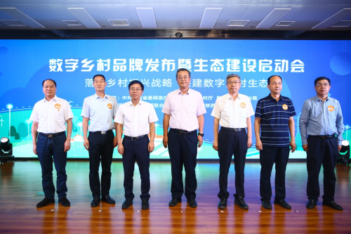 图片9