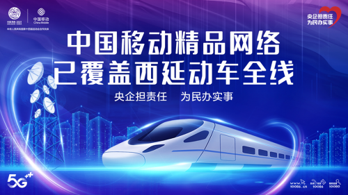 图片11