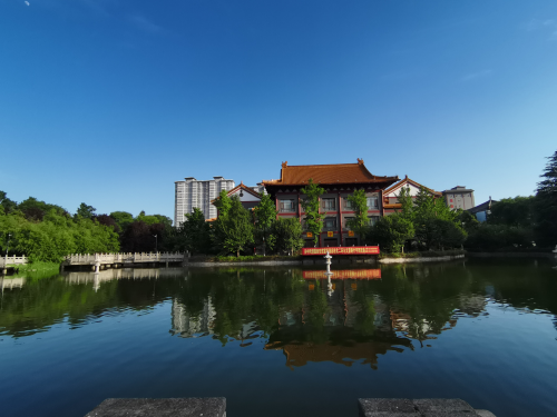 图片5