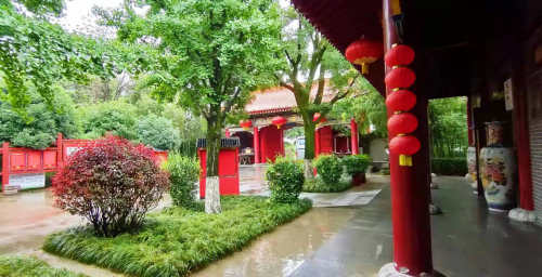 图片8