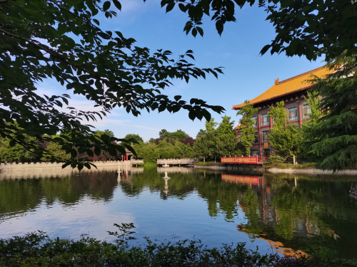 图片9
