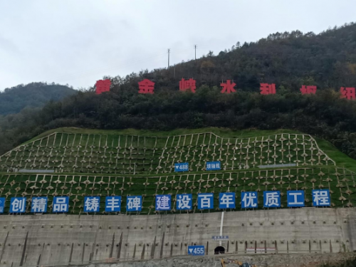 图片8