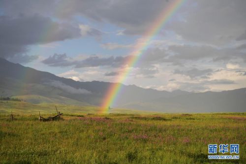 这是7月24日在新疆喀纳斯景区禾木村拍摄的彩虹。新华社记者 沙达提 摄
