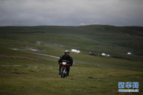 8月3日，在玛沁县当洛乡贡龙村的夏季草场上，牧民骑着摩托车在查看牛羊。新华社记者 张龙 摄