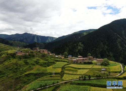 这是8月7日在青海省果洛藏族自治州班玛县境内拍摄的藏式碉楼（无人机照片）。新华社记者 张龙 摄