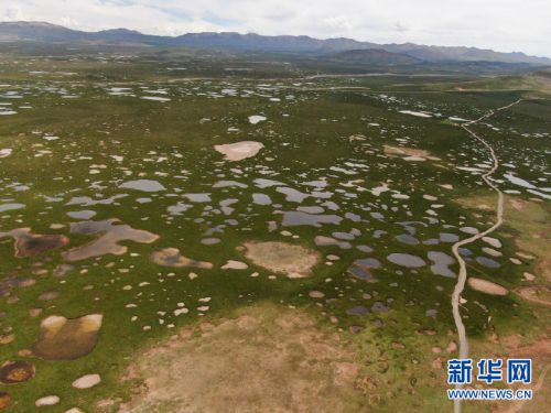 这是7月23日拍摄的长江源地区的查旦湿地（无人机照片）。新华社记者  张龙 摄