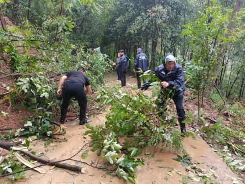 王治明在疏通交通道路上的倾倒树木