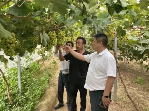 陕西信合-在乡村振兴中展现陕西信合新作为