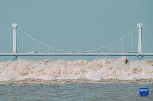 9月23日，钱塘江潮水经过江东大桥。