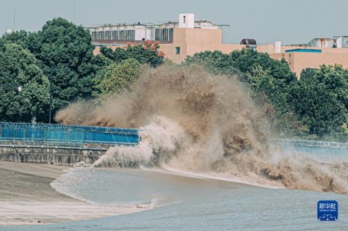9月23日，钱塘江潮水冲击堤坝形成巨浪 。