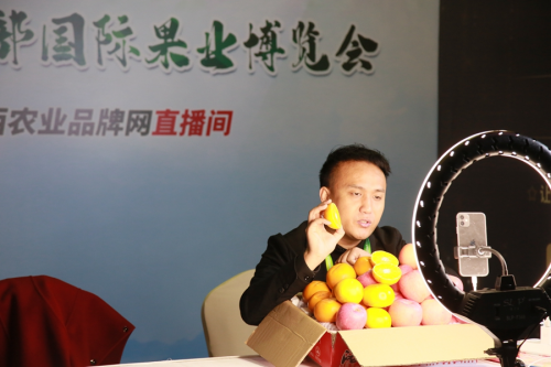 图片7