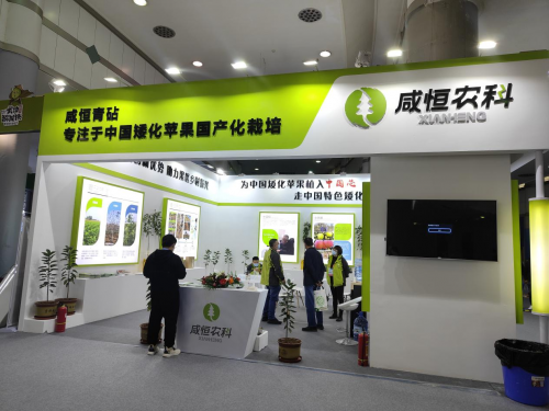 图片9