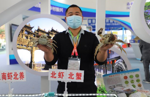 QQ截图20211025144411