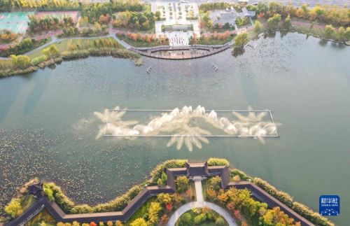泰兴市虹桥镇长江生态湿地景色（11月11日摄，无人机照片）。