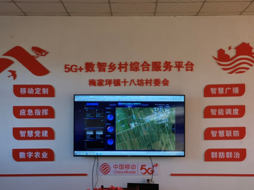 图片9