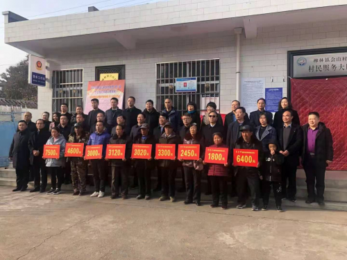 图片8