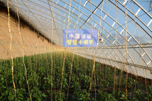 图片 2