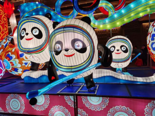 图片5