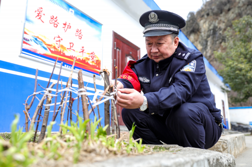 图片6