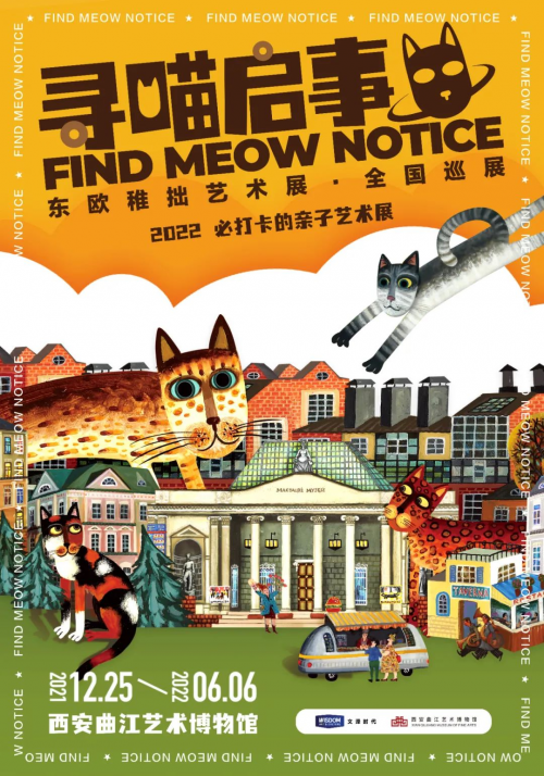 图片11