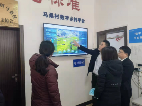 图片15