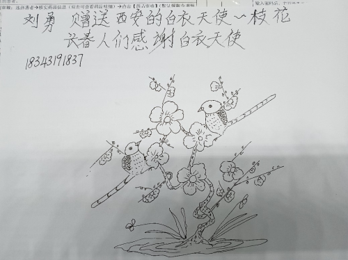 图片1