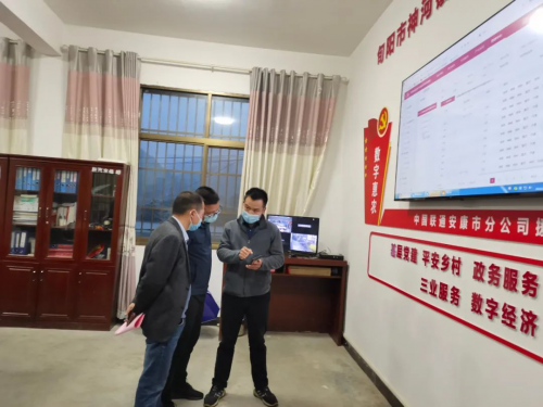 图片4