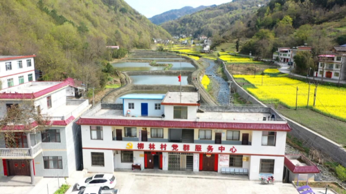 图片5