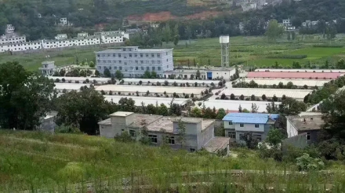 图片6