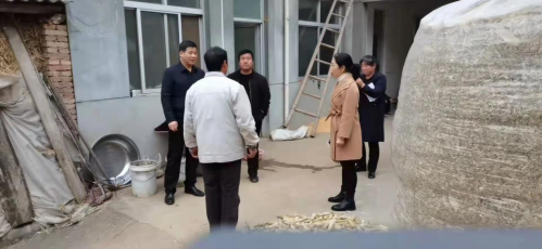 图片4