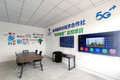 图片5