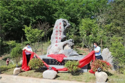 图片4