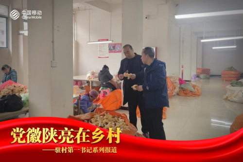 图片3