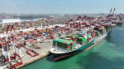 6月15日，山东港口青岛港前湾港区，集装箱货轮在码头装卸集装箱。新华社记者 李紫恒 摄