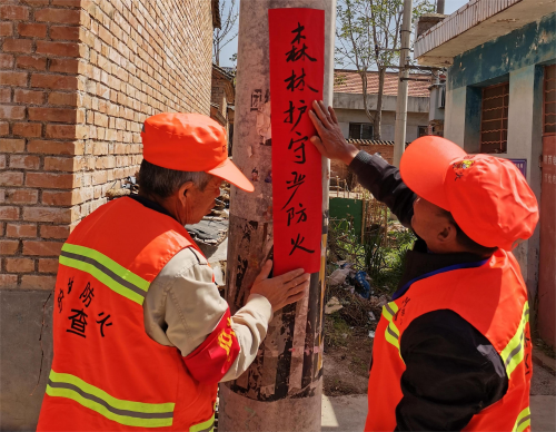 图片11