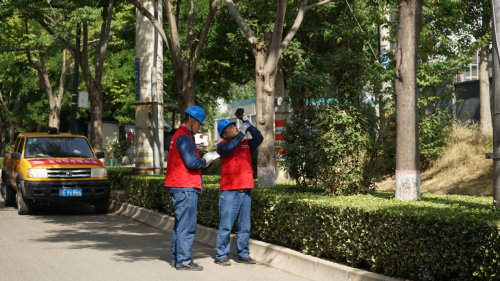 图片3