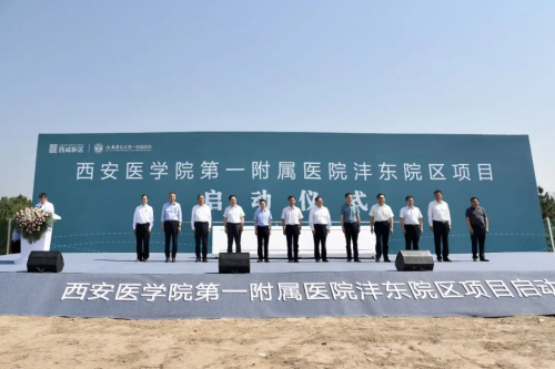 图片9