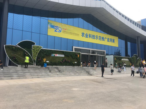 图片4