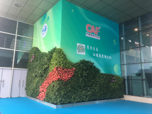 图片5